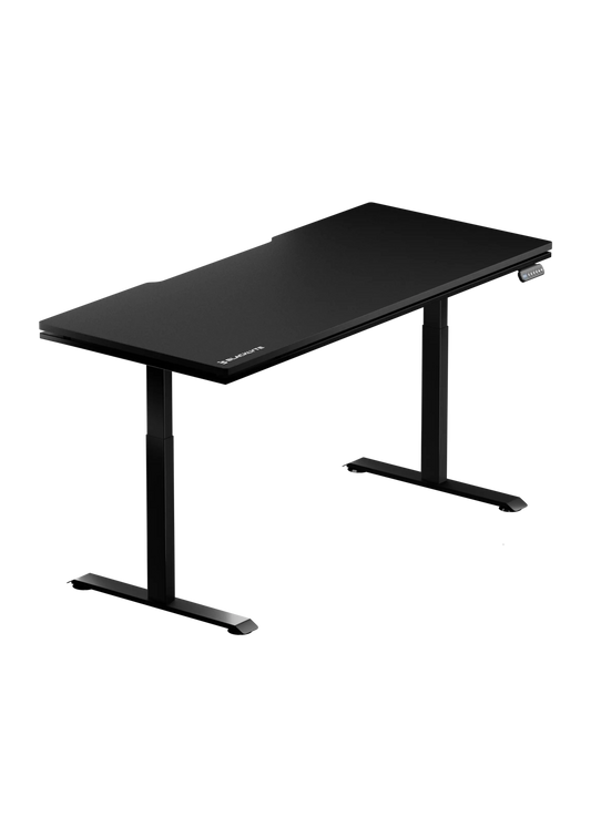 adjustable standing desk