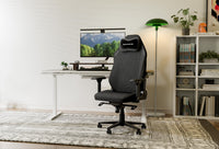 Desk and Chair Ergonomics: The Complete Guide to a Pain-Free, High-Performance Setup