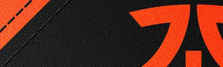 Fnatic Edition