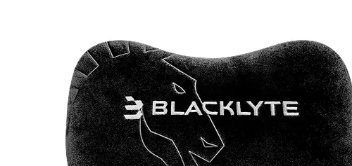 Team Liquid Edition Magnetic Head Pillow