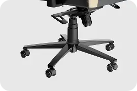 Athena Pro R6 10th Anniversary Edition