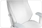 Blacklyte Athena Pro Gaming Chair