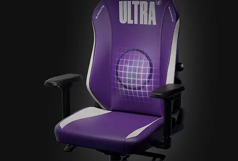 Integrated Dynamic Lumbar Support
