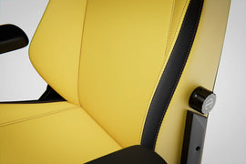 Blacklyte Athena Pro Gaming Chair